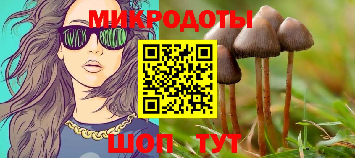 Галлюциногенные грибы MAGIC MUSHROOMS Донской