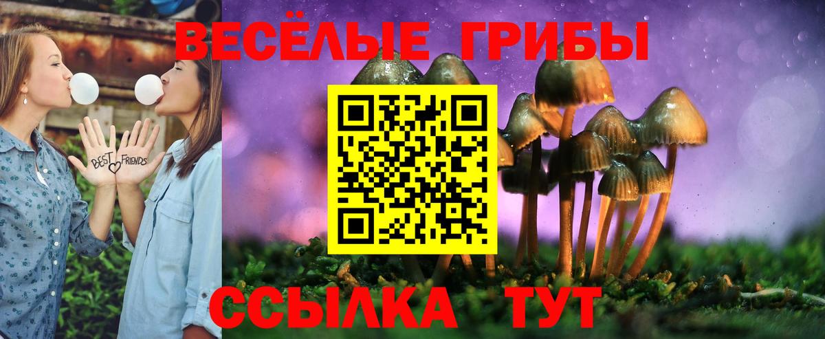 Псилоцибиновые грибы Psilocybine cubensis  Вход с VPN  где найти наркотики  Донской 